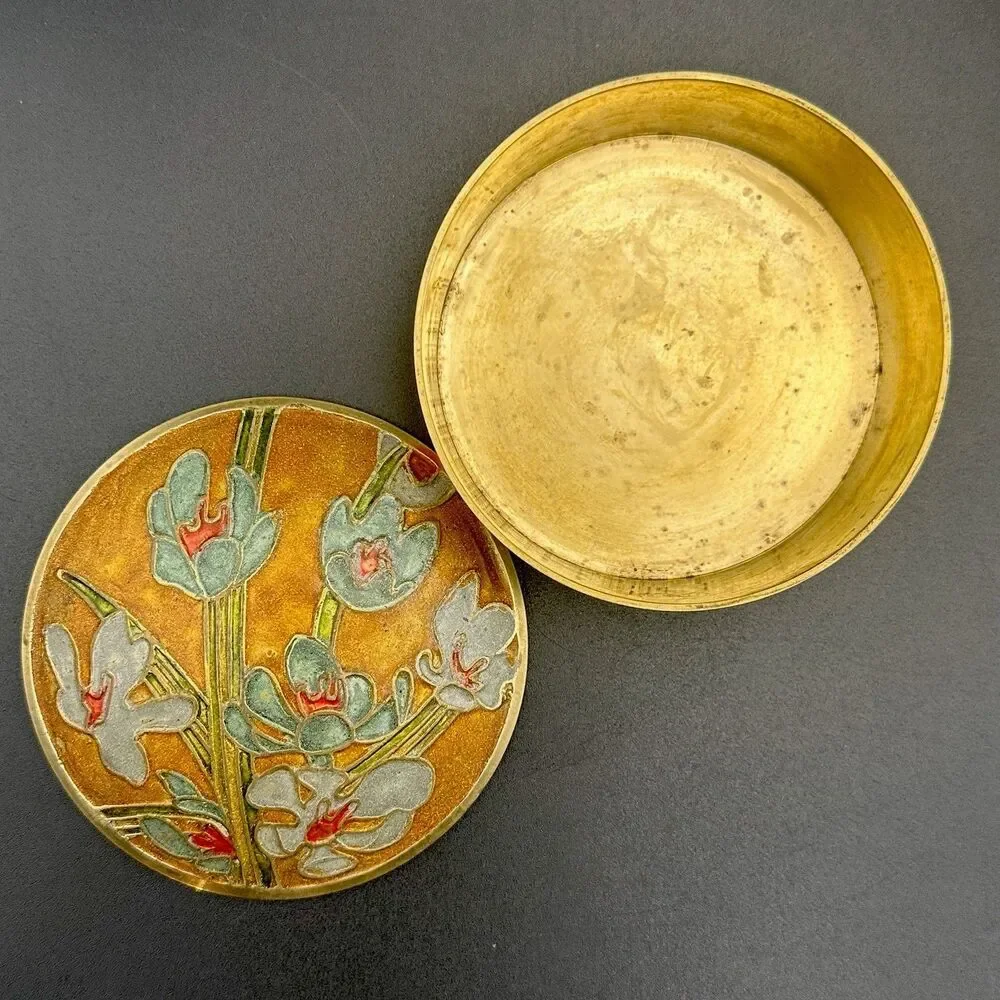 Coquette vintage indian